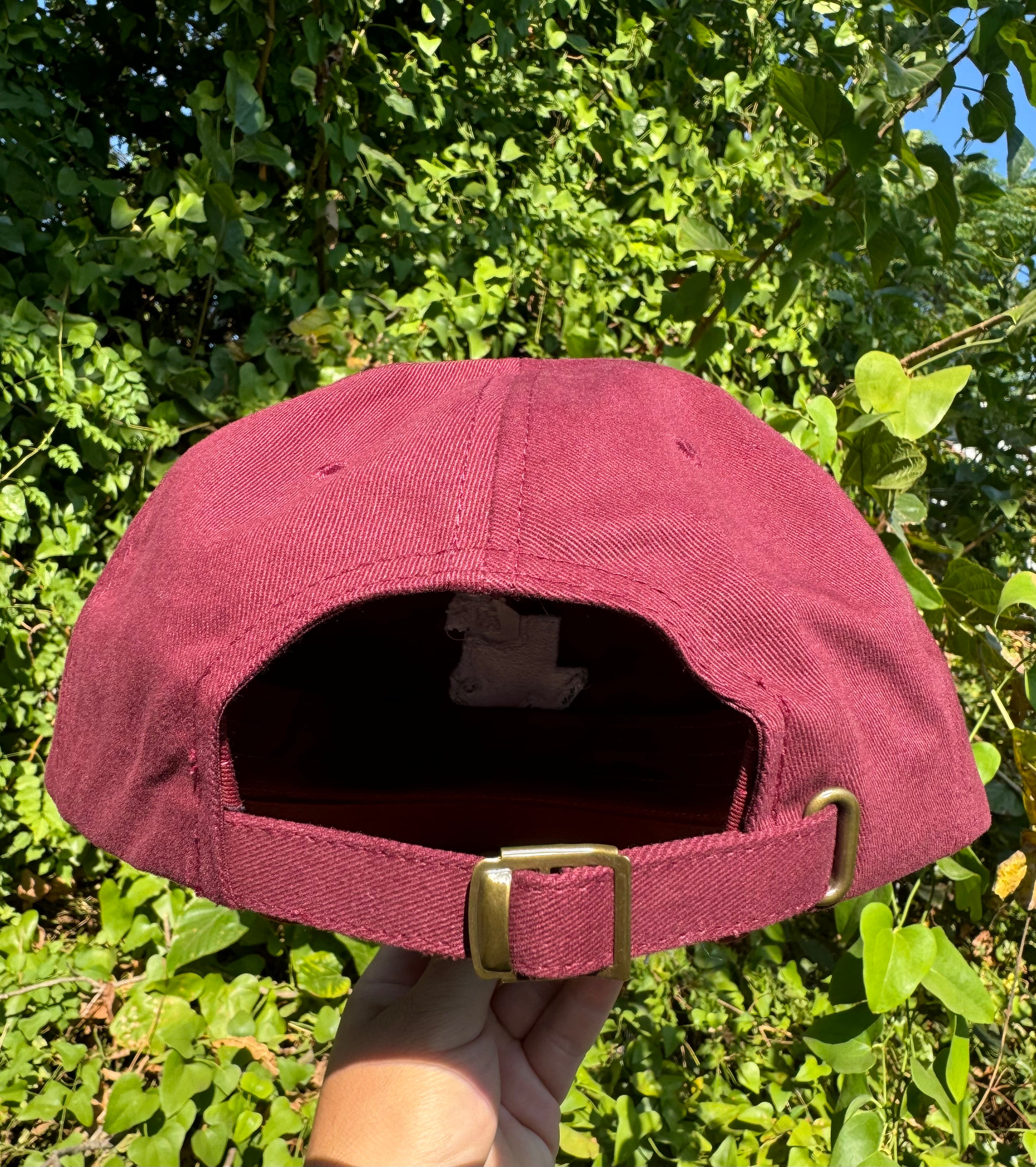 Whoop! Gig em Dad Hat